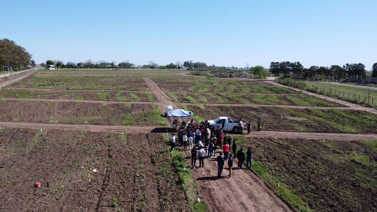 MONITOREO DE ÁRBOLES EN EL COMPLEJO AMBIENTAL DE LAS ROSAS