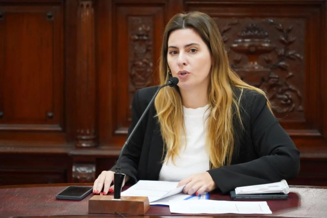 CATTALINI: “LA LEGITIMIDAD DE LA CORTE SE CONSTRUYE CON PARTICIPACIÓN CIUDADANA”