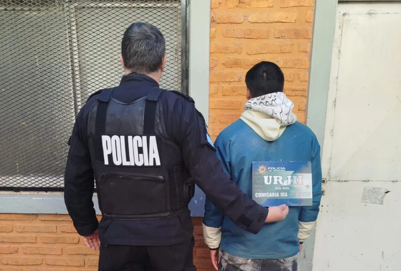 DOS ALLANAMIENTOS POSITIVOS Y UNA DETENCIÓN POR UNA CAUSA DE ROBO EN LAS ROSAS